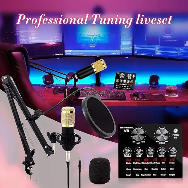 V10 BM-800 Podcast Condenser Microphone Set
